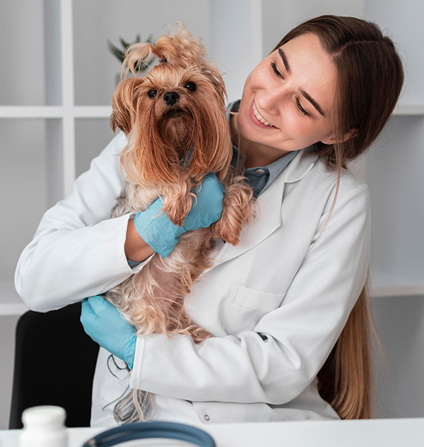 Derma Pet Care - About Us